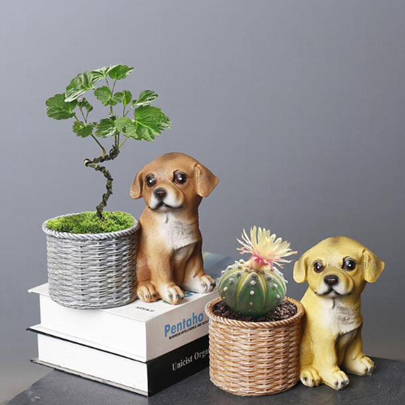 Household Living Room Office R - Bonsai Garden Art incelemesi ve fiyatı