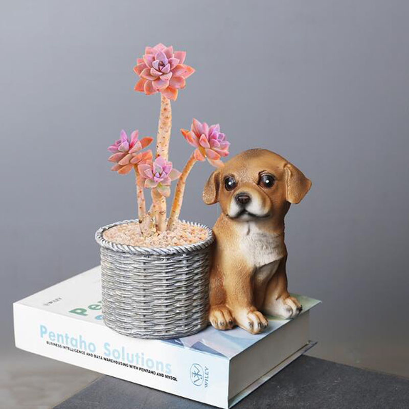 Household Living Room Office R - Bonsai Garden Art incelemesi ve fiyatı