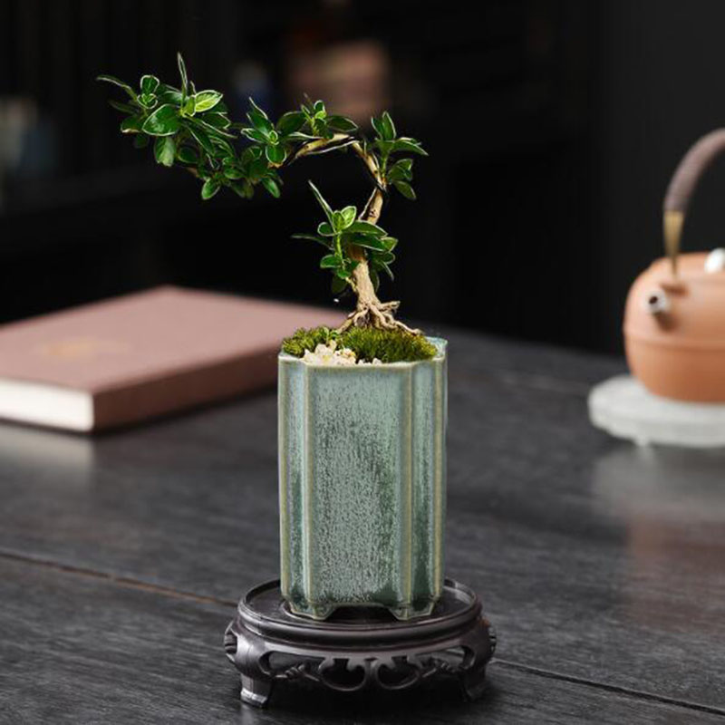 Porcelain Square Celadon Glaze - Bonsai Garden Art incelemesi ve fiyatı