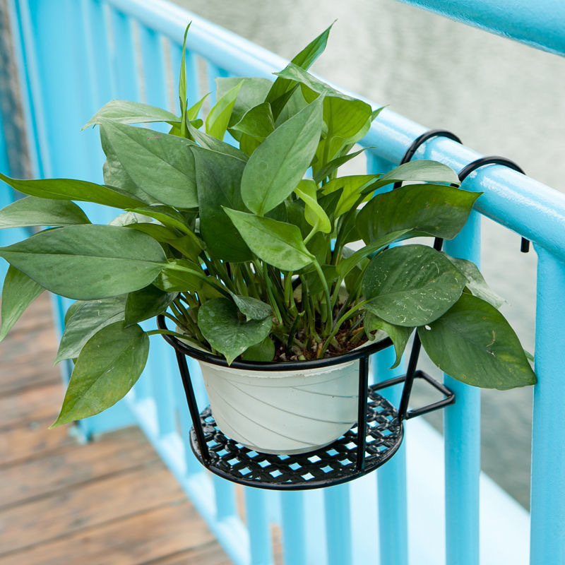 1PC Gardening Pots Outdoor Win - Bonsai Garden Art incelemesi ve fiyatı
