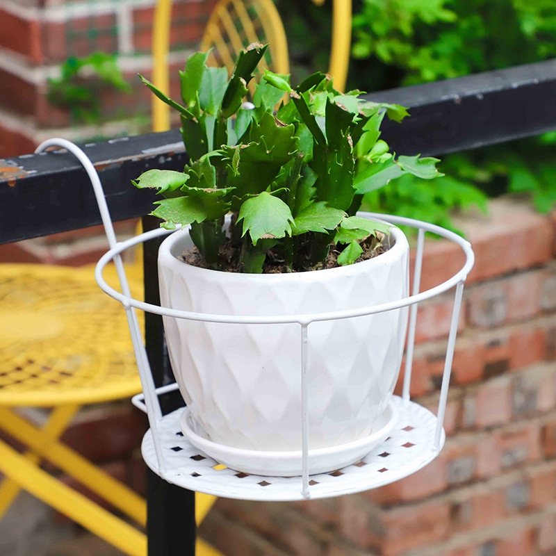1PC Gardening Pots Outdoor Win - Bonsai Garden Art incelemesi ve fiyatı