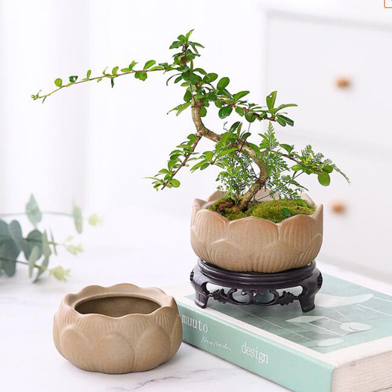 Coarse Pottery Lotus Green Pla - Bonsai Garden Art incelemesi ve fiyatı