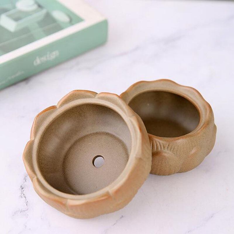 Coarse Pottery Lotus Green Pla - Bonsai Garden Art incelemesi ve fiyatı